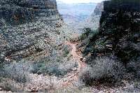 Looking back, just before the trail climbs.