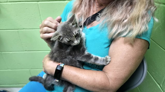 Debbie with Simba