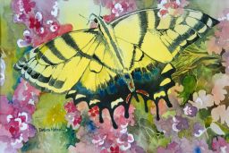 Two-tailed Swallowtail painting - Debra Hetzel Hanson