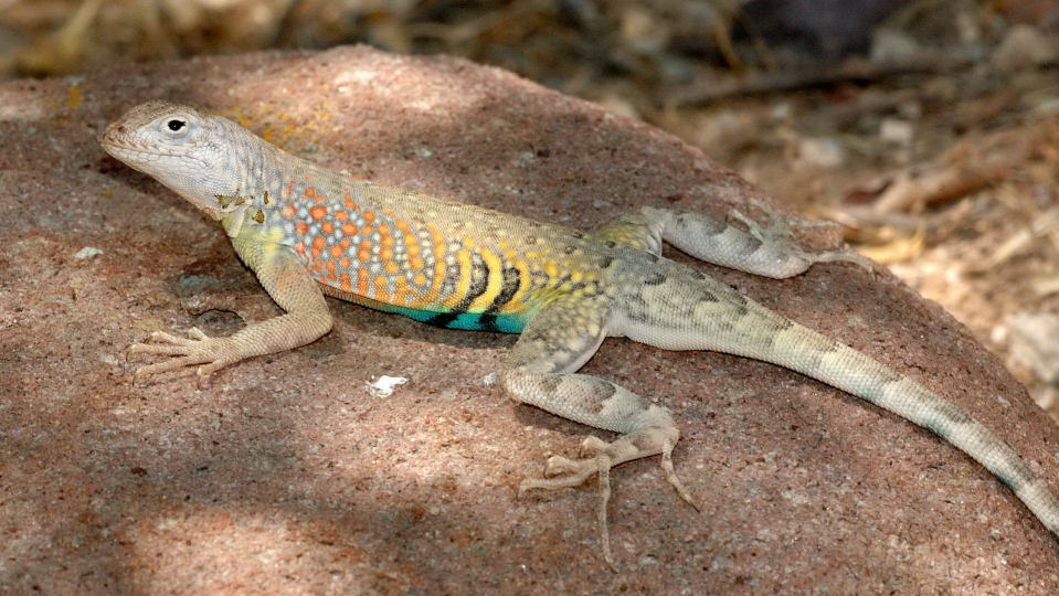 Slide 40