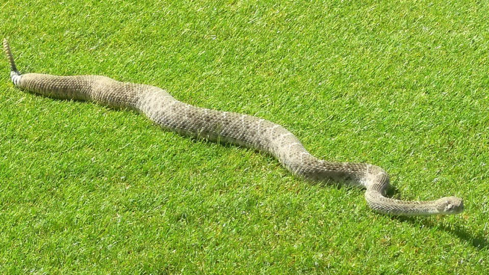 Slide 46