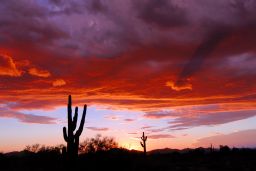 Arizona Sunset Picture