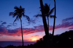 Maui Sunset Picture